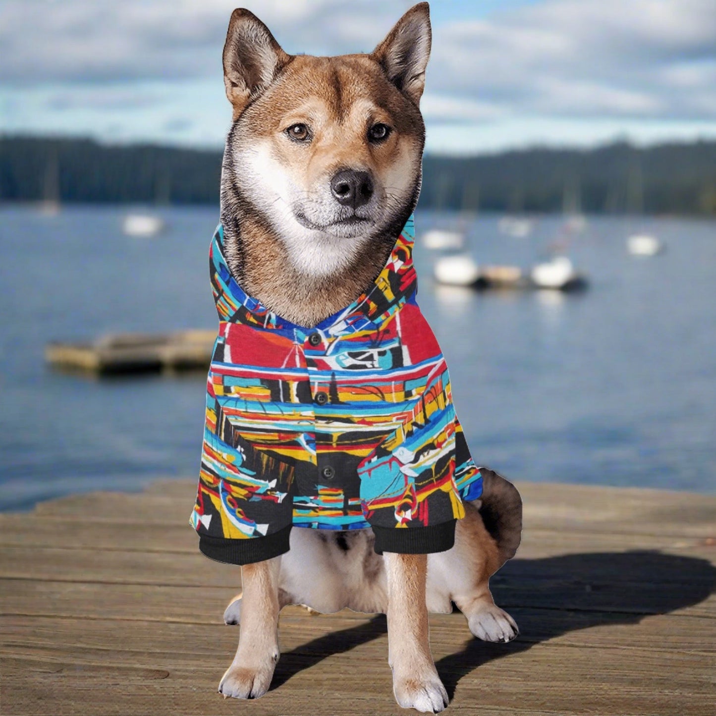 Roche Harbor Pet Dog Hoodie